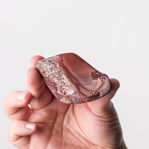 New Mexico Apache Dendritic Rhyolite