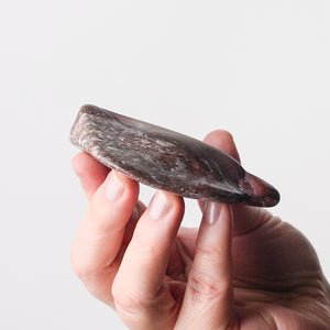 New Mexico Apache Dendritic Rhyolite