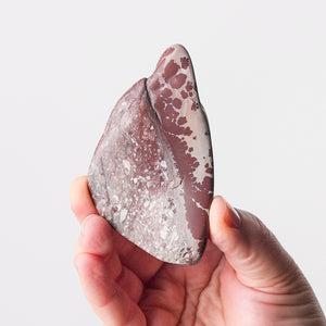 New Mexico Apache Dendritic Rhyolite