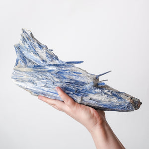 Large Kyanite with Quartz