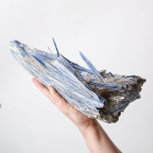 Large Kyanite with Quartz