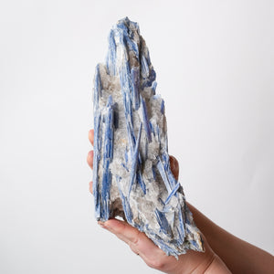 Large Kyanite with Quartz