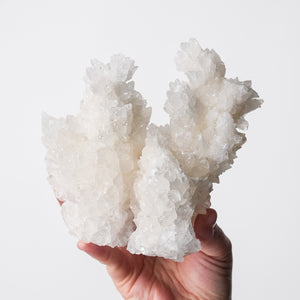 Beautiful Aragonite Cluster