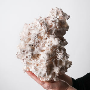 Stunning Tube Calcite with Quartz