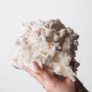 Stunning Tube Calcite with Quartz