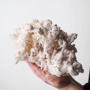 Stunning Tube Calcite with Quartz