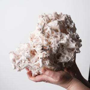 Stunning Tube Calcite with Quartz