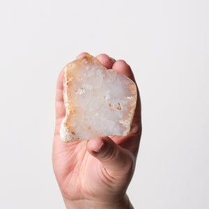 Oregon Plume Agate Plate