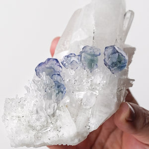 Fluorite and Pyrite on Quartz