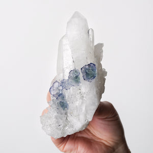 Fluorite and Pyrite on Quartz