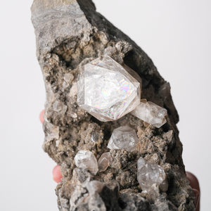 Exceptional In Situ Herkimer Quartz