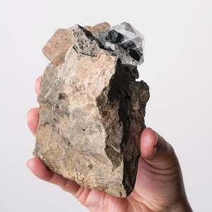 Herkimer Quartz with Tourmaline Inclusion on Matrix