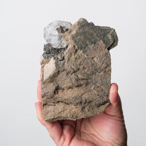 Herkimer Quartz with Tourmaline Inclusion on Matrix