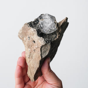 Herkimer Quartz with Tourmaline Inclusion on Matrix