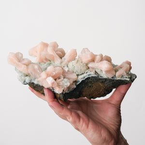 Stunning Stilbite on Chalcedony