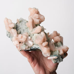 Stunning Stilbite on Chalcedony