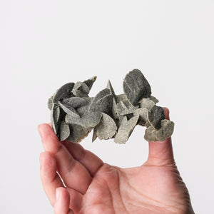 Peruvian Desert Rose