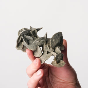 Peruvian Desert Rose