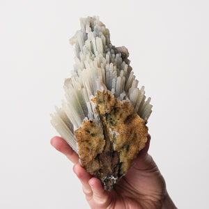 Rare Chalcedony after Scolecite