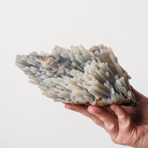 Rare Chalcedony after Scolecite