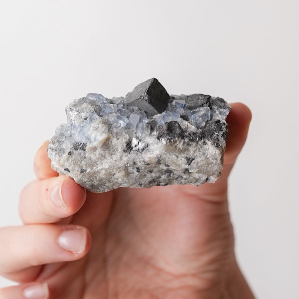 Fluorite with Galena Cubes from NM