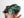 Malachite after Azurite