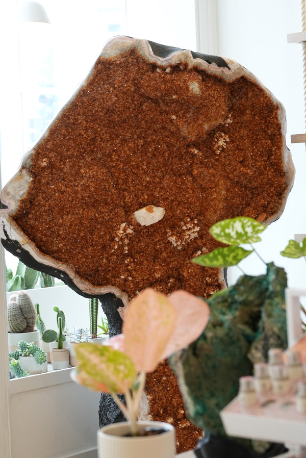 Citrine Geode Pair