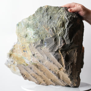 Large Amethyst Geode Half with Calcite