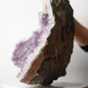 Large Amethyst Geode Half with Calcite