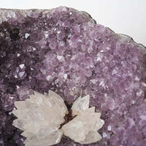 Large Amethyst Geode Half with Calcite