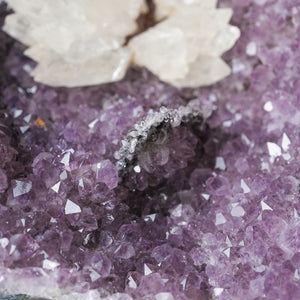 Large Amethyst Geode Half with Calcite