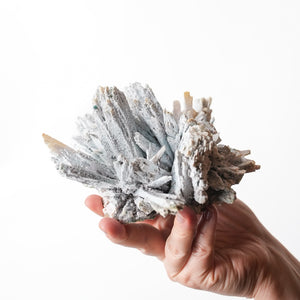 Blue Anhydrite Starburst (Rare)