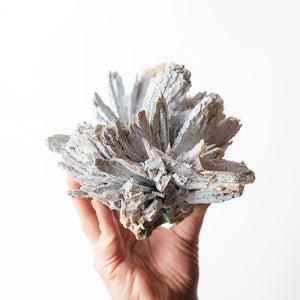 Blue Anhydrite Starburst (Rare)