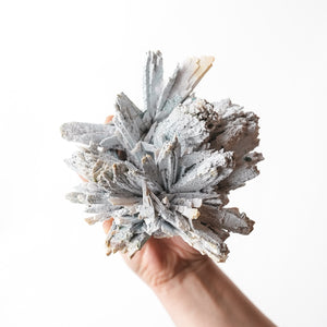 Blue Anhydrite Starburst (Rare)