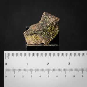 Liebigite (WA) ☢️