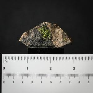 Liebigite (WA) ☢️