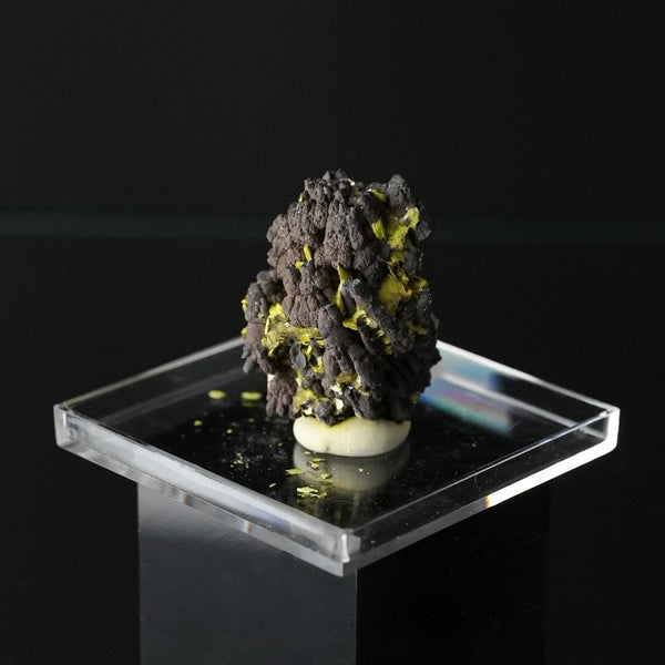 Meta-Autunite
