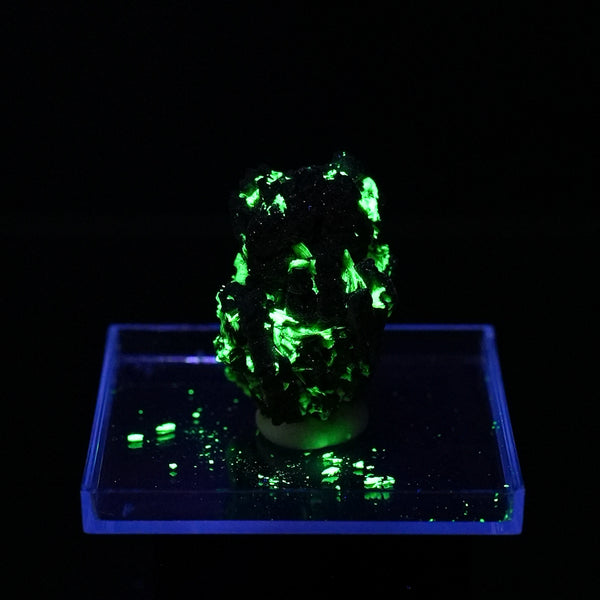 Meta-Autunite