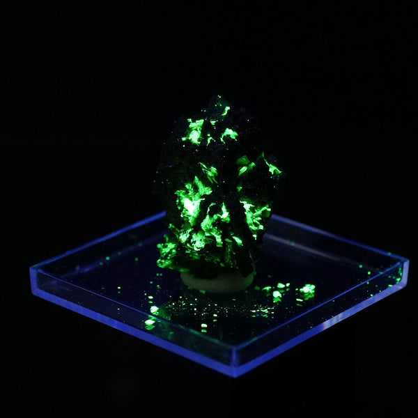 Meta-Autunite