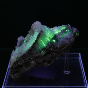 Novacekite in Selenite 2