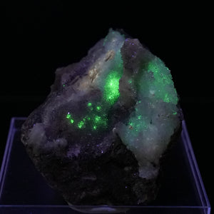 Novacekite in Selenite 2