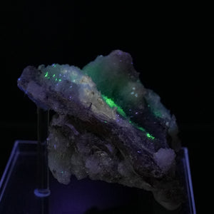 Novacekite in Selenite 2