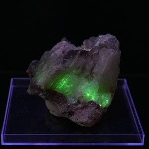 Novacekite in Selenite