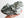 Actinolite in Talc